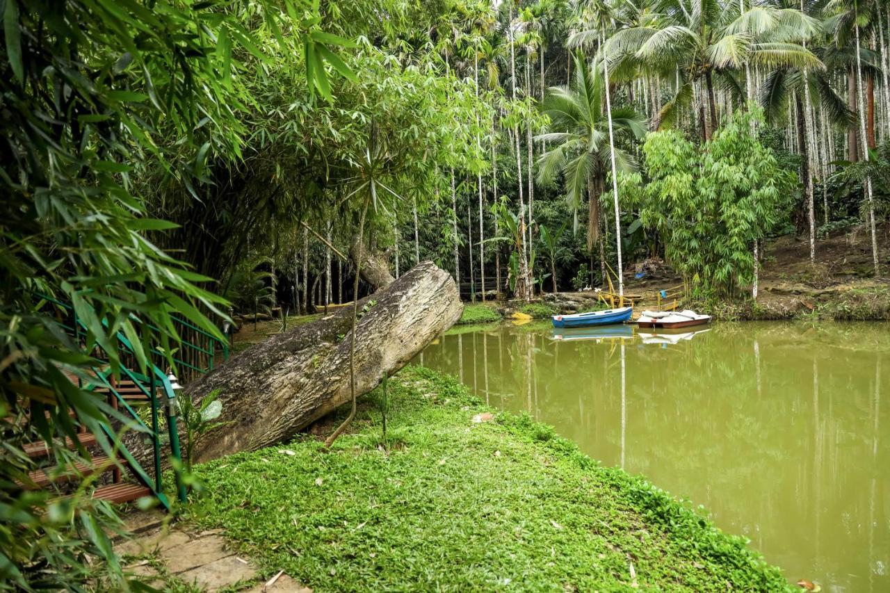 Bamboo Creek Resort Vaduvanchal ภายนอก รูปภาพ