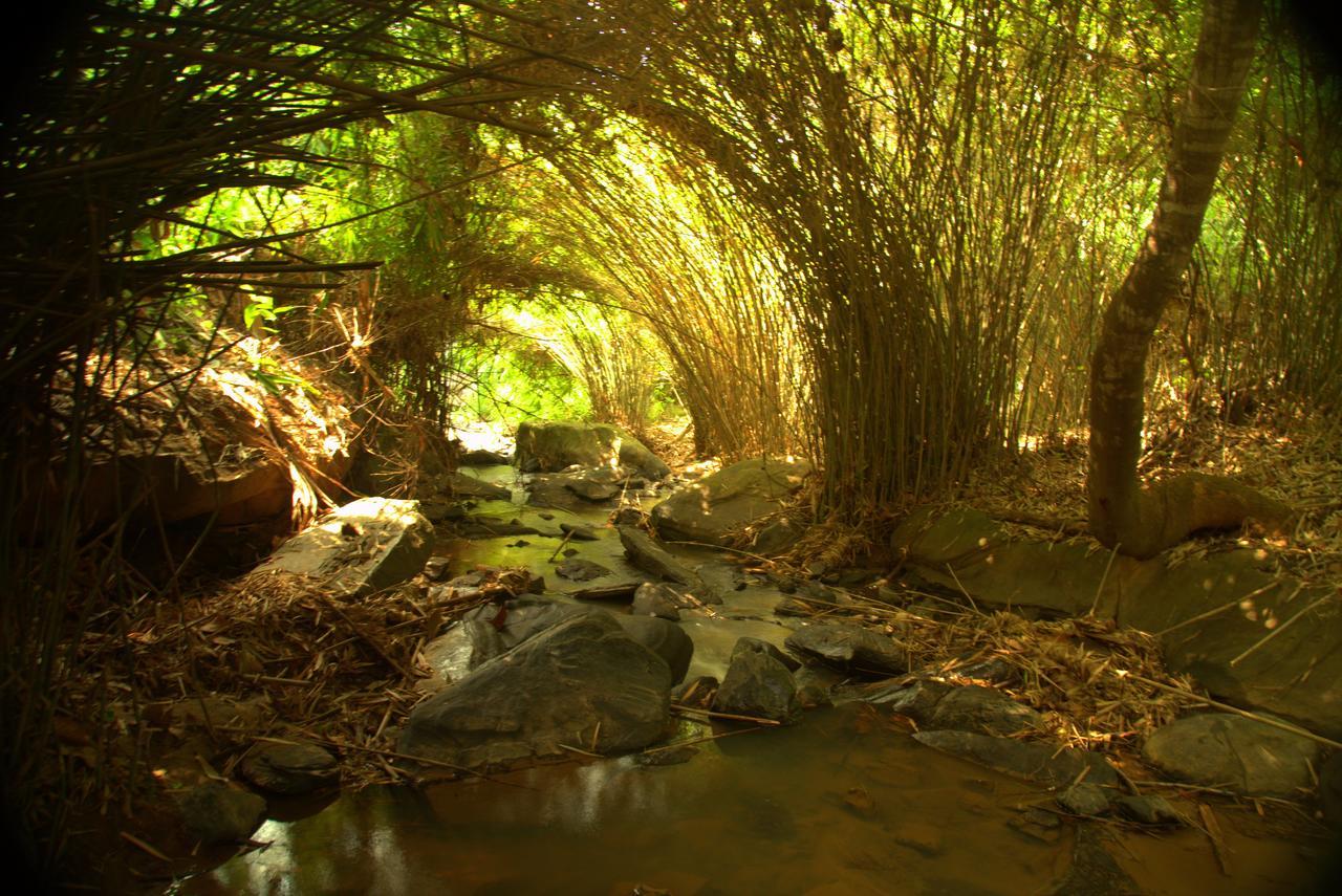 Bamboo Creek Resort Vaduvanchal ภายนอก รูปภาพ