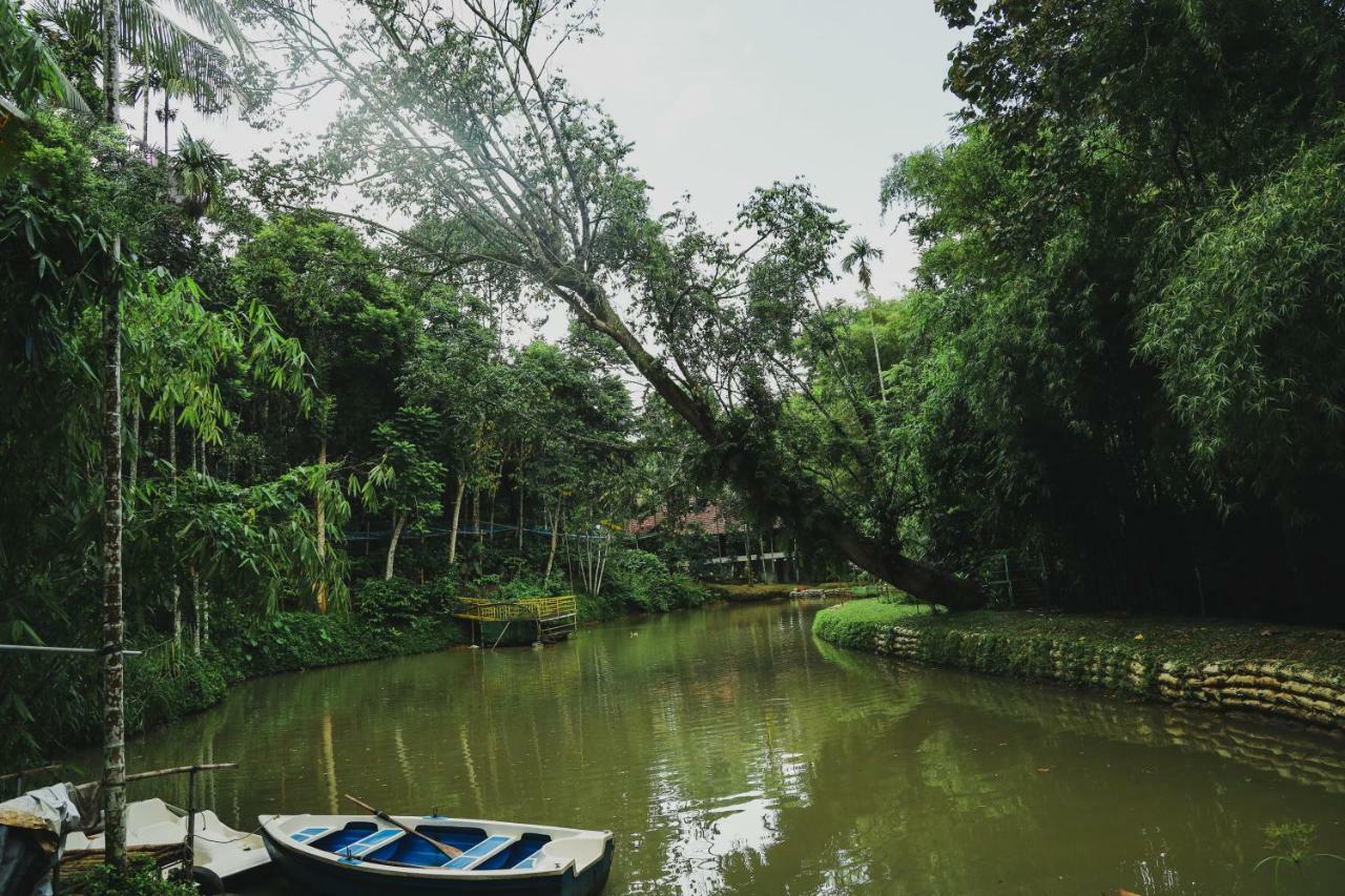 Bamboo Creek Resort Vaduvanchal ภายนอก รูปภาพ